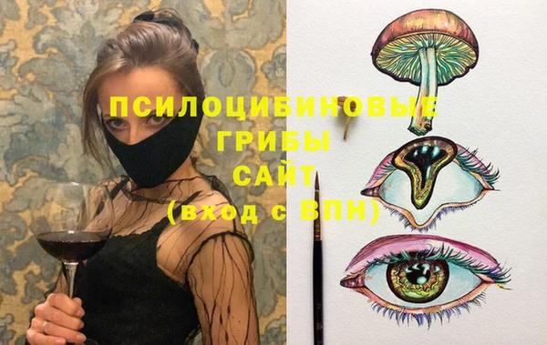 гашик Алексин