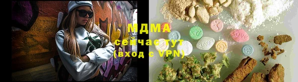 гашик Алексин