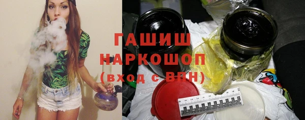 гашик Алексин