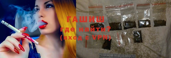 гашик Алексин