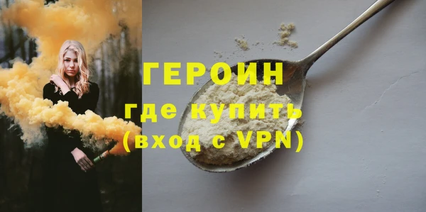 гашик Алексин