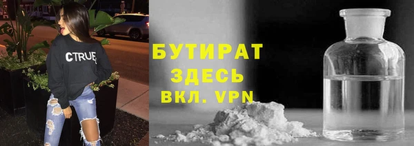 гашик Алексин