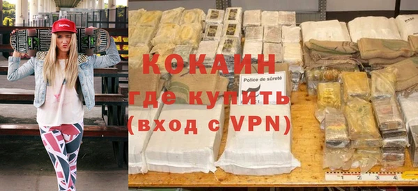 гашик Алексин