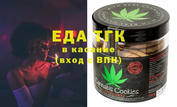 гашик Алексин