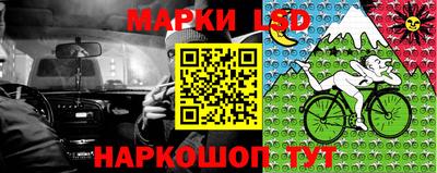стаф Дубна
