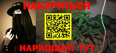стаф Дубна