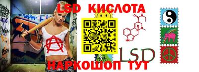 стаф Дубна
