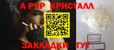 стаф Дубна