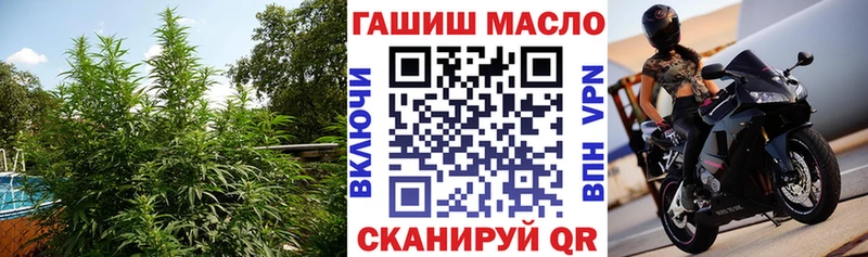 где купить наркоту  Новозыбков  Дистиллят ТГК THC oil 
