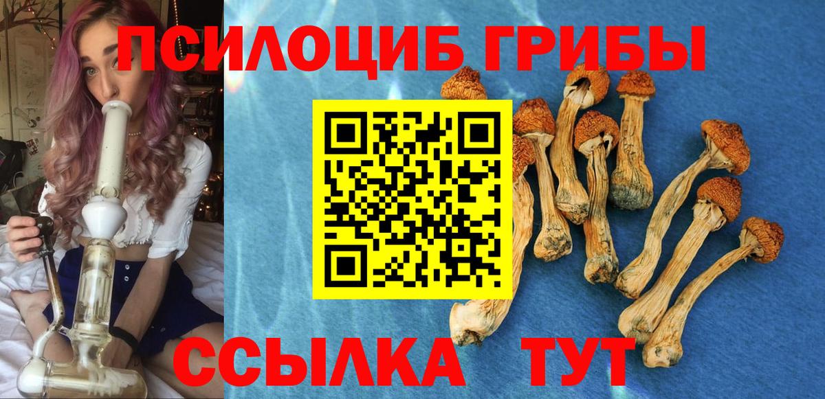 Псилоцибиновые грибы прущие грибы Новозыбков
