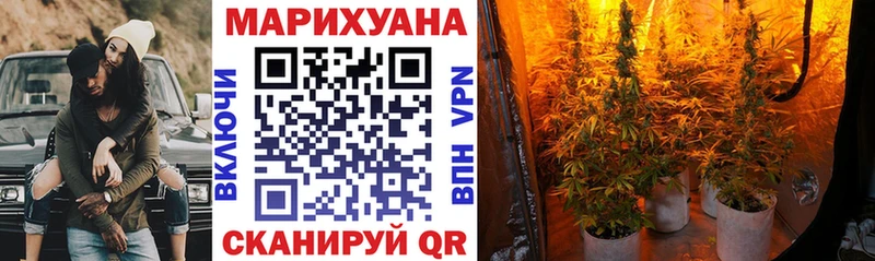 Бошки Шишки SATIVA & INDICA  МЕГА маркетплейс  Новозыбков 